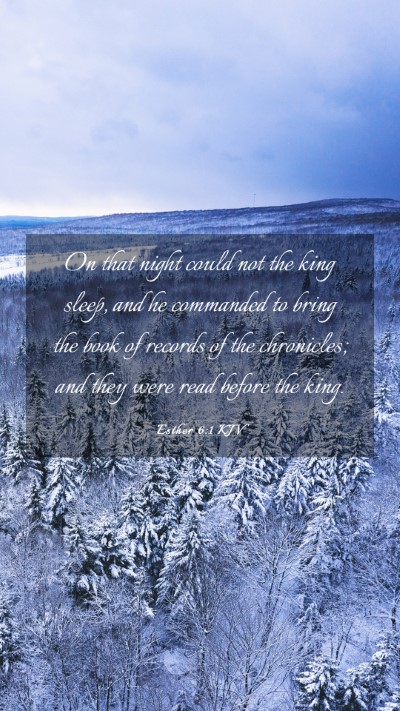 Picture 03 - Esther 6:1 KJV Mobile Phone Wallpaper - On that night could not the king sleep, and he - Mobile Bible Verse Wallpaper