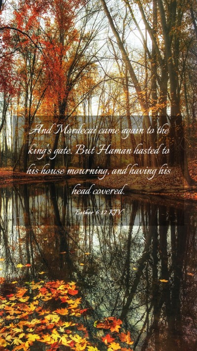 Picture 03 - Esther 6:12 KJV Mobile Phone Wallpaper - And Mordecai came again to the king's gate. But - Mobile Bible Verse Wallpaper