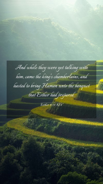 Picture 03 - Esther 6:14 KJV Mobile Phone Wallpaper - And while they were yet talking with him, came - Mobile Bible Verse Wallpaper