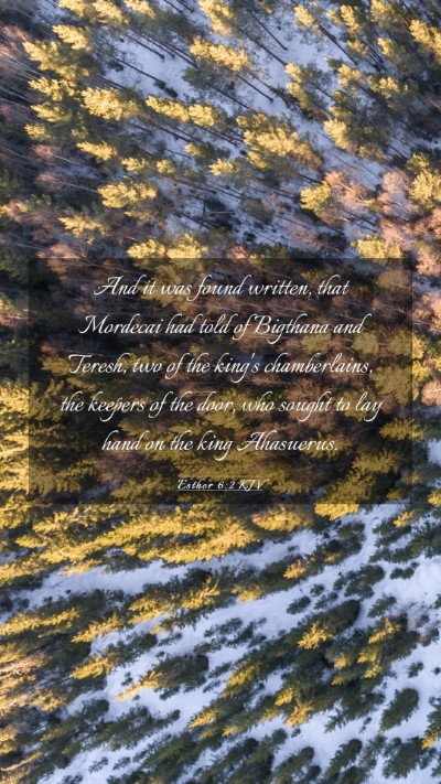 Picture 03 - Esther 6:2 KJV Mobile Phone Wallpaper - And it was found written, that Mordecai had told - Mobile Bible Verse Wallpaper