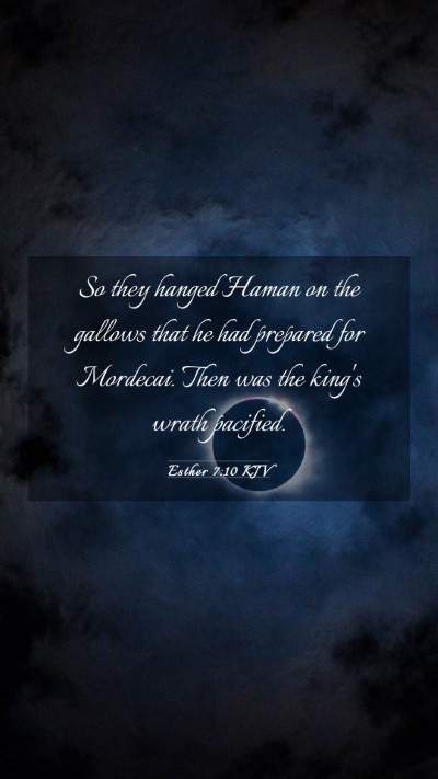 Picture 03 - Esther 7:10 KJV Mobile Phone Wallpaper - So they hanged Haman on the gallows that he had - Mobile Bible Verse Wallpaper