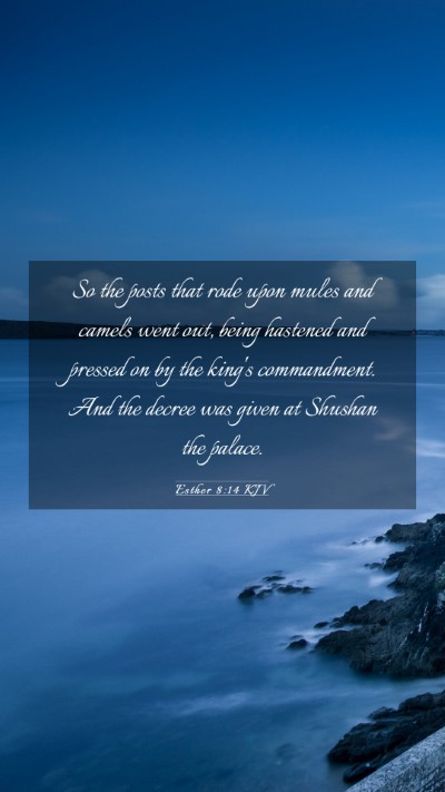 Picture 03 - Esther 8:14 KJV Mobile Phone Wallpaper - So the posts that rode upon mules and camels went - Mobile Bible Verse Wallpaper