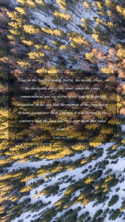 Picture 03 - Esther 9:1 KJV Mobile Phone Wallpaper - Now in the twelfth month, that is, the month - Mobile Bible Verse Wallpaper
