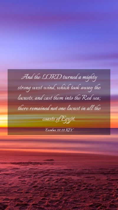 Picture 03 - Exodus 10:19 KJV Mobile Phone Wallpaper - And the LORD turned a mighty strong west wind, - Mobile Bible Verse Wallpaper