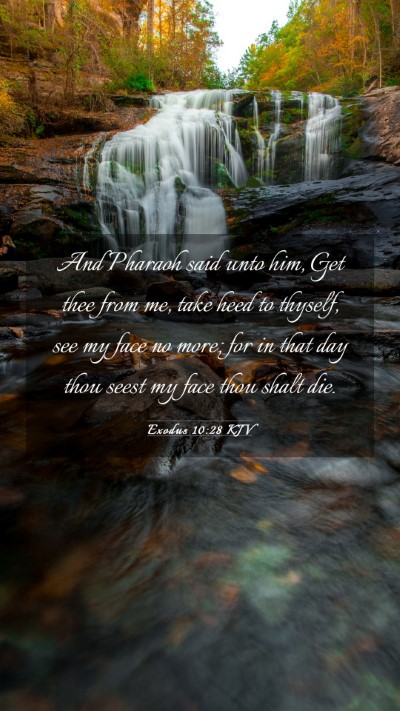 Picture 03 - Exodus 10:28 KJV Mobile Phone Wallpaper - And Pharaoh said unto him, Get thee from me, take - Mobile Bible Verse Wallpaper