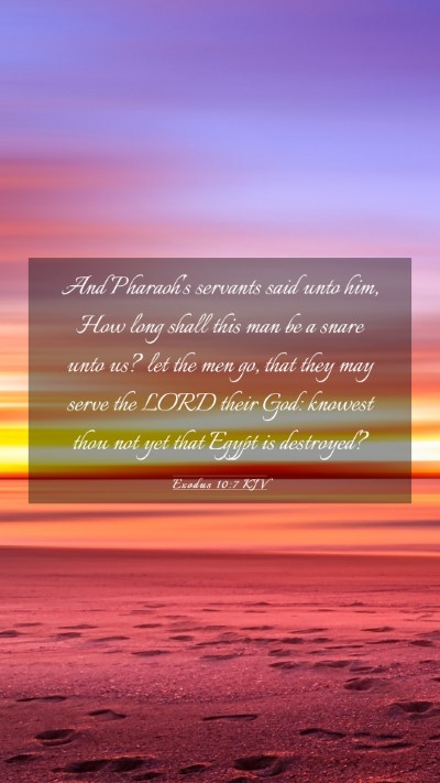 Picture 03 - Exodus 10:7 KJV Mobile Phone Wallpaper - And Pharaoh's servants said unto him, How long - Mobile Bible Verse Wallpaper