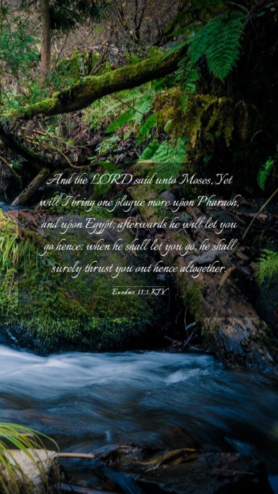 Picture 03 - Exodus 11:1 KJV Mobile Phone Wallpaper - And the LORD said unto Moses, Yet will I bring - Mobile Bible Verse Wallpaper