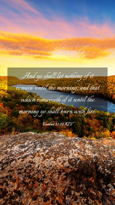 Picture 03 - Exodus 12:10 KJV Mobile Phone Wallpaper - And ye shall let nothing of it remain until the - Mobile Bible Verse Wallpaper