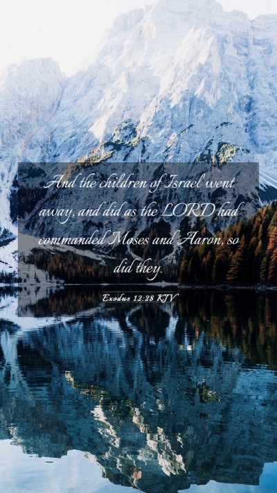 Picture 03 - Exodus 12:28 KJV Mobile Phone Wallpaper - And the children of Israel went away, and did as - Mobile Bible Verse Wallpaper