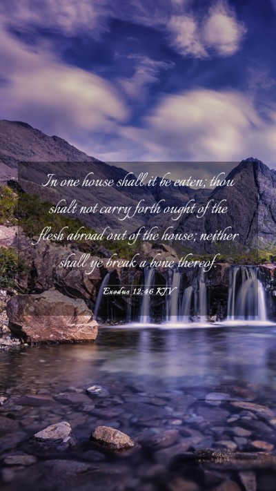 Picture 03 - Exodus 12:46 KJV Mobile Phone Wallpaper - In one house shall it be eaten; thou shalt not - Mobile Bible Verse Wallpaper
