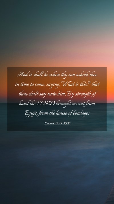 Picture 03 - Exodus 13:14 KJV Mobile Phone Wallpaper - And it shall be when thy son asketh thee in time - Mobile Bible Verse Wallpaper