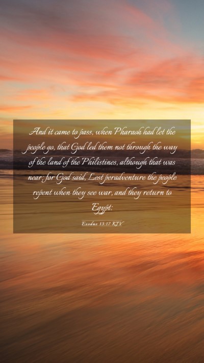Picture 03 - Exodus 13:17 KJV Mobile Phone Wallpaper - And it came to pass, when Pharaoh had let the - Mobile Bible Verse Wallpaper