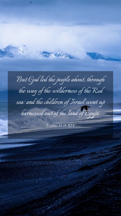 Picture 03 - Exodus 13:18 KJV Mobile Phone Wallpaper - But God led the people about, through the way of - Mobile Bible Verse Wallpaper