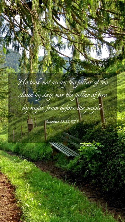 Picture 03 - Exodus 13:22 KJV Mobile Phone Wallpaper - He took not away the pillar of the cloud by day, - Mobile Bible Verse Wallpaper