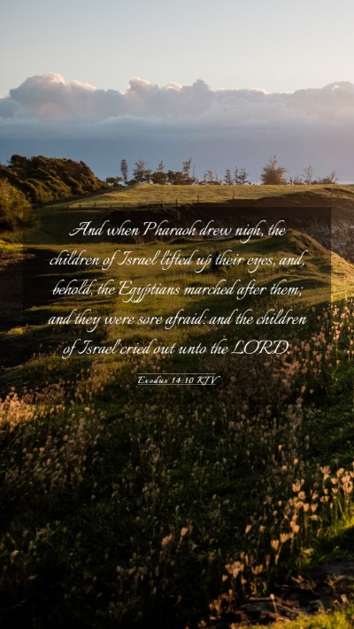 Picture 03 - Exodus 14:10 KJV Mobile Phone Wallpaper - And when Pharaoh drew nigh, the children of - Mobile Bible Verse Wallpaper