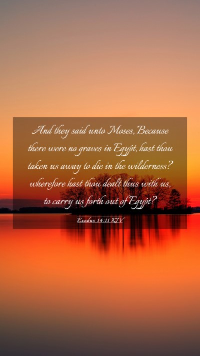Picture 03 - Exodus 14:11 KJV Mobile Phone Wallpaper - And they said unto Moses, Because there were no - Mobile Bible Verse Wallpaper