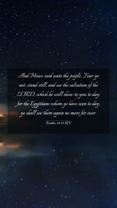 Picture 03 - Exodus 14:13 KJV Mobile Phone Wallpaper - And Moses said unto the people, Fear ye not, - Mobile Bible Verse Wallpaper