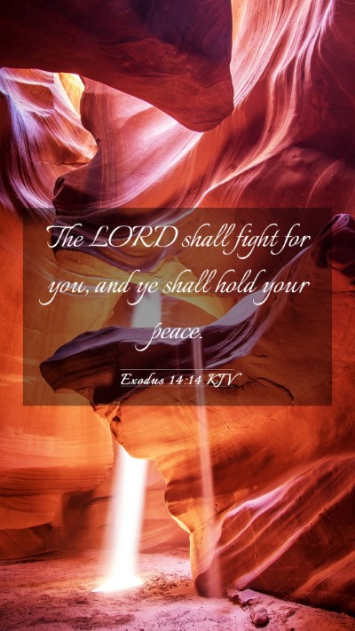Picture 03 - Exodus 14:14 KJV Mobile Phone Wallpaper - The LORD shall fight for you, and ye shall hold - Mobile Bible Verse Wallpaper