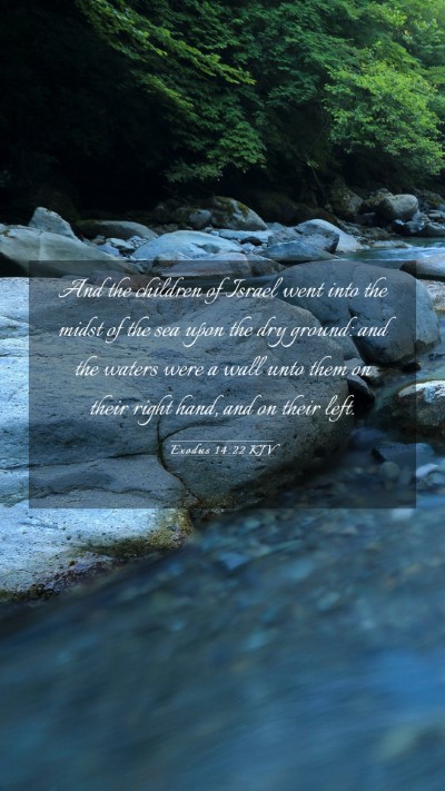 Picture 03 - Exodus 14:22 KJV Mobile Phone Wallpaper - And the children of Israel went into the midst of - Mobile Bible Verse Wallpaper