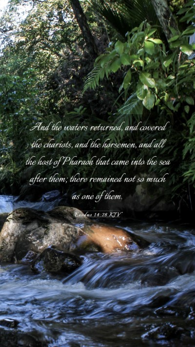 Picture 03 - Exodus 14:28 KJV Mobile Phone Wallpaper - And the waters returned, and covered the - Mobile Bible Verse Wallpaper