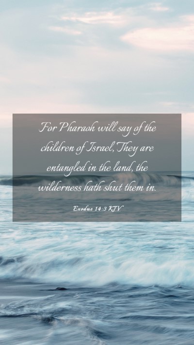 Picture 03 - Exodus 14:3 KJV Mobile Phone Wallpaper - For Pharaoh will say of the children of Israel, - Mobile Bible Verse Wallpaper