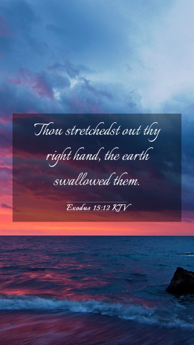 Picture 03 - Exodus 15:12 KJV Mobile Phone Wallpaper - Thou stretchedst out thy right hand, the earth - Mobile Bible Verse Wallpaper