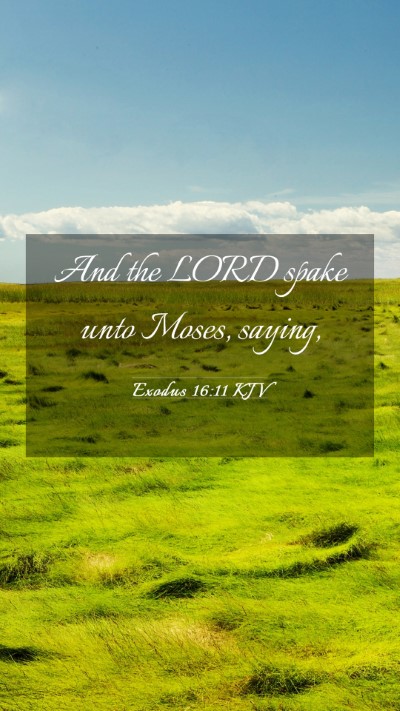Picture 03 - Exodus 16:11 KJV Mobile Phone Wallpaper - And the LORD spake unto Moses, - Mobile Bible Verse Wallpaper