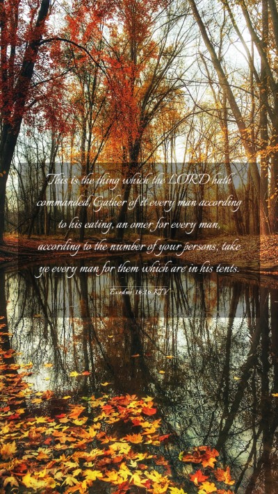 Picture 03 - Exodus 16:16 KJV Mobile Phone Wallpaper - This is the thing which the LORD hath commanded, - Mobile Bible Verse Wallpaper