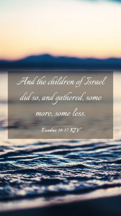 Picture 03 - Exodus 16:17 KJV Mobile Phone Wallpaper - And the children of Israel did so, and gathered, - Mobile Bible Verse Wallpaper