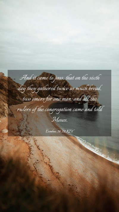 Picture 03 - Exodus 16:22 KJV Mobile Phone Wallpaper - And it came to pass, that on the sixth day they - Mobile Bible Verse Wallpaper
