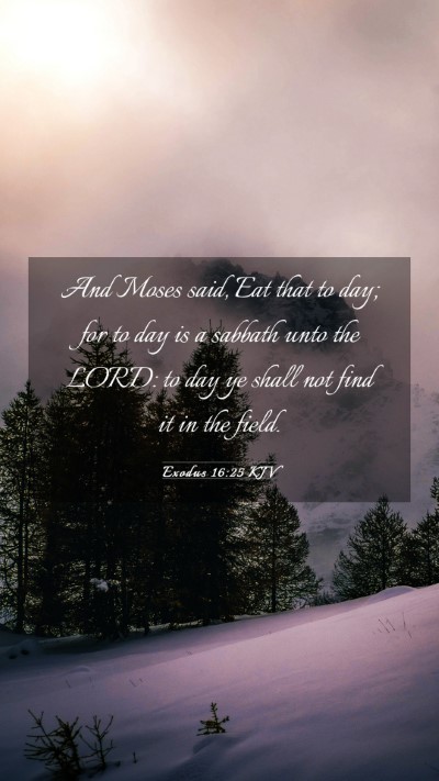 Picture 03 - Exodus 16:25 KJV Mobile Phone Wallpaper - And Moses said, Eat that to day; for to day is a - Mobile Bible Verse Wallpaper