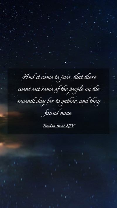 Picture 03 - Exodus 16:27 KJV Mobile Phone Wallpaper - And it came to pass, that there went out some of - Mobile Bible Verse Wallpaper