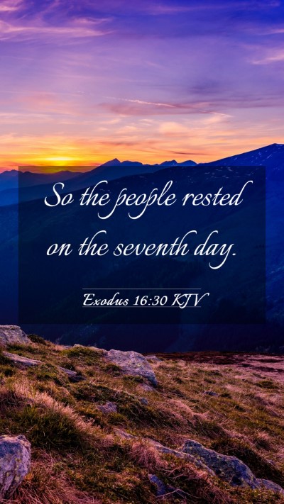 Picture 03 - Exodus 16:30 KJV Mobile Phone Wallpaper - So the people rested on the seventh - Mobile Bible Verse Wallpaper