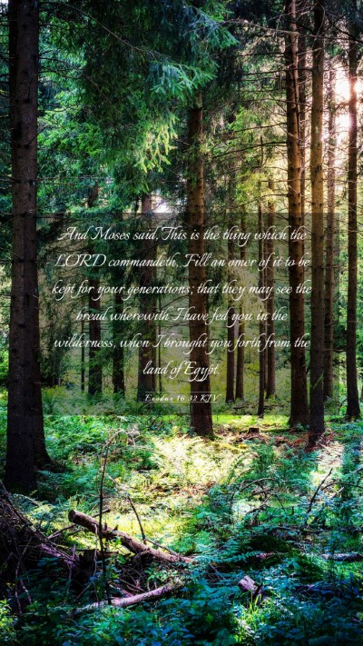 Picture 03 - Exodus 16:32 KJV Mobile Phone Wallpaper - And Moses said, This is the thing which the LORD - Mobile Bible Verse Wallpaper