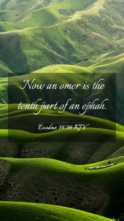 Picture 03 - Exodus 16:36 KJV Mobile Phone Wallpaper - Now an omer is the tenth part of an - Mobile Bible Verse Wallpaper
