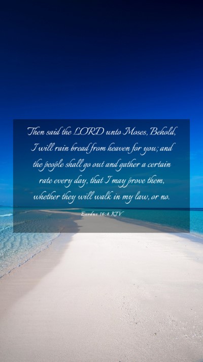 Picture 03 - Exodus 16:4 KJV Mobile Phone Wallpaper - Then said the LORD unto Moses, Behold, I will - Mobile Bible Verse Wallpaper