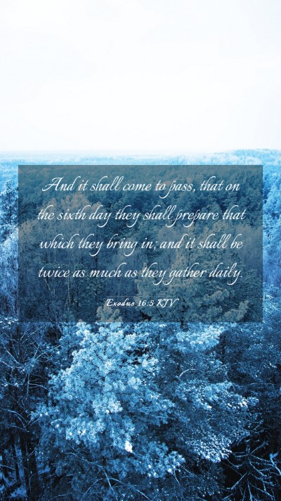 Picture 03 - Exodus 16:5 KJV Mobile Phone Wallpaper - And it shall come to pass, that on the sixth day - Mobile Bible Verse Wallpaper