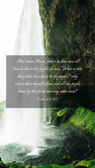 Picture 03 - Exodus 18:14 KJV Mobile Phone Wallpaper - And when Moses' father in law saw all that he did - Mobile Bible Verse Wallpaper