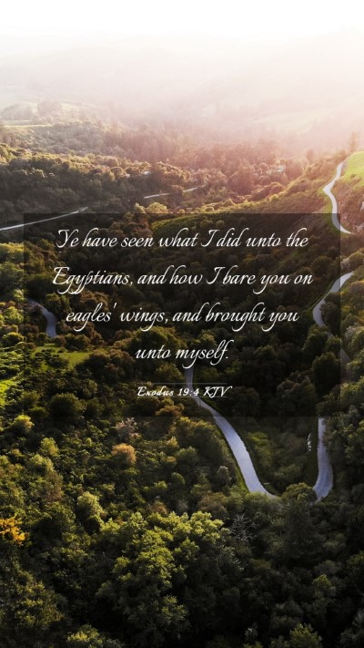 Picture 03 - Exodus 19:4 KJV Mobile Phone Wallpaper - Ye have seen what I did unto the Egyptians, and - Mobile Bible Verse Wallpaper