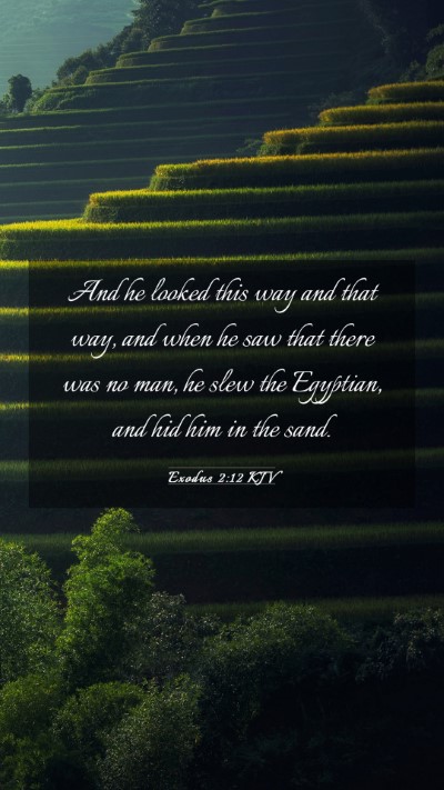 Picture 03 - Exodus 2:12 KJV Mobile Phone Wallpaper - And he looked this way and that way, and when he - Mobile Bible Verse Wallpaper