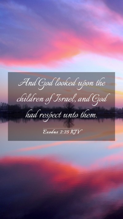 Picture 03 - Exodus 2:25 KJV Mobile Phone Wallpaper - And God looked upon the children of Israel, and - Mobile Bible Verse Wallpaper