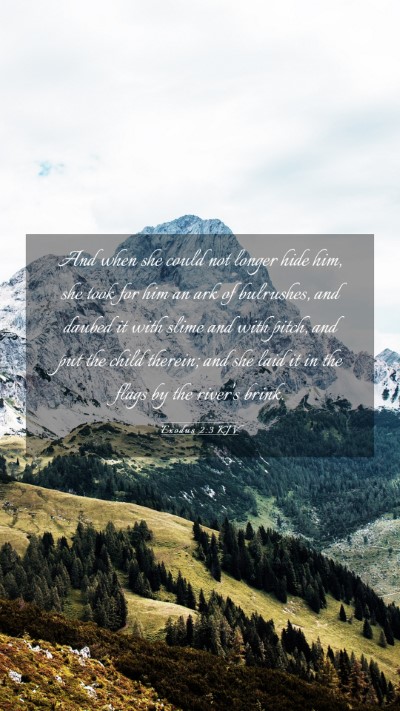 Picture 03 - Exodus 2:3 KJV Mobile Phone Wallpaper - And when she could not longer hide him, she took - Mobile Bible Verse Wallpaper