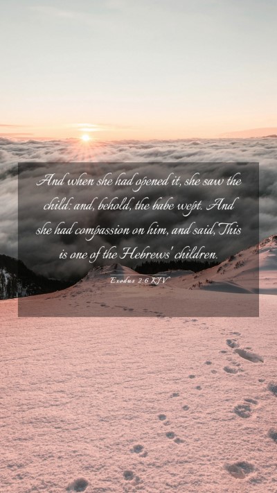 Picture 03 - Exodus 2:6 KJV Mobile Phone Wallpaper - And when she had opened it, she saw the child: - Mobile Bible Verse Wallpaper