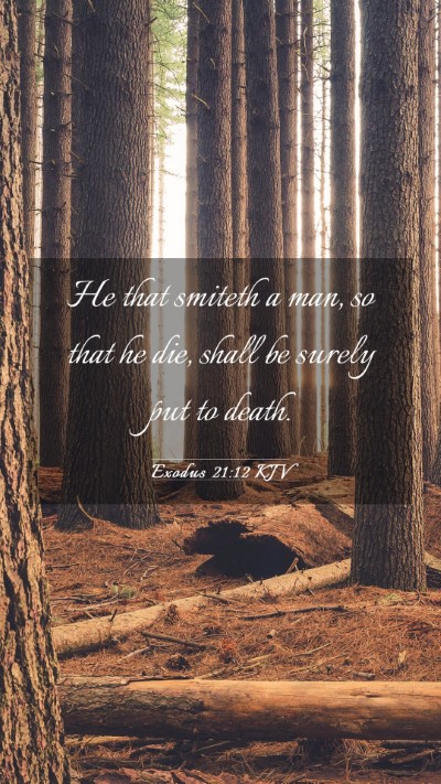 Picture 03 - Exodus 21:12 KJV Mobile Phone Wallpaper - He that smiteth a man, so that he die, shall be - Mobile Bible Verse Wallpaper