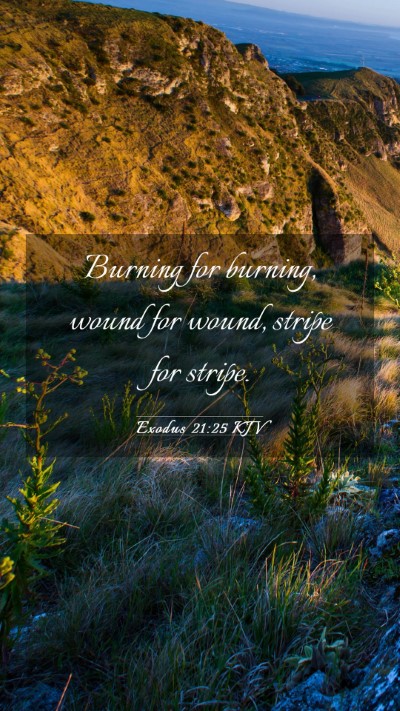 Picture 03 - Exodus 21:25 KJV Mobile Phone Wallpaper - Burning for burning, wound for wound, stripe for - Mobile Bible Verse Wallpaper