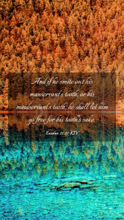 Picture 03 - Exodus 21:27 KJV Mobile Phone Wallpaper - And if he smite out his manservant's tooth, or - Mobile Bible Verse Wallpaper