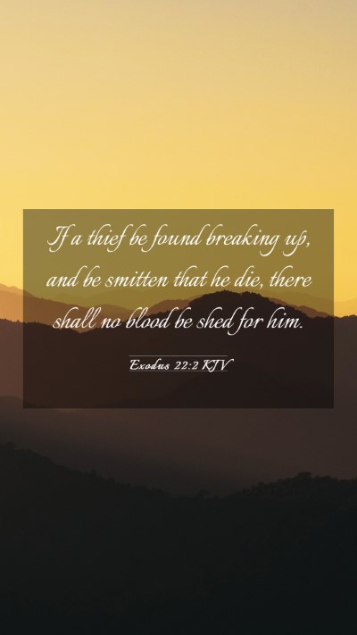 Picture 03 - Exodus 22:2 KJV Mobile Phone Wallpaper - If a thief be found breaking up, and be smitten - Mobile Bible Verse Wallpaper