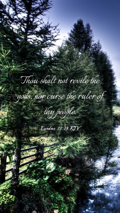 Picture 03 - Exodus 22:28 KJV Mobile Phone Wallpaper - Thou shalt not revile the gods, nor curse the - Mobile Bible Verse Wallpaper