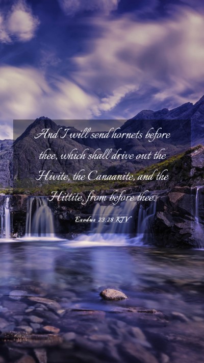 Picture 03 - Exodus 23:28 KJV Mobile Phone Wallpaper - And I will send hornets before thee, which shall - Mobile Bible Verse Wallpaper