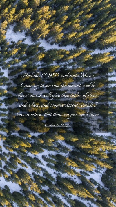 Picture 03 - Exodus 24:12 KJV Mobile Phone Wallpaper - And the LORD said unto Moses, Come up to me into - Mobile Bible Verse Wallpaper